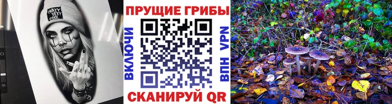Псилоцибиновые грибы Cubensis  Сергач 