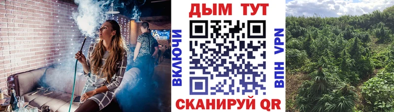 купить наркоту  Сергач  Бошки Шишки индика 